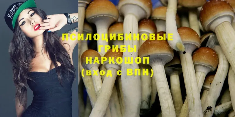 Галлюциногенные грибы Magic Shrooms  Чишмы 